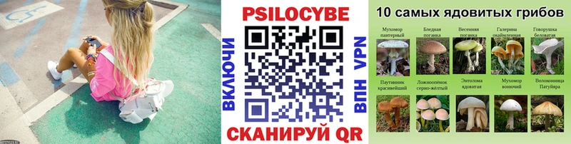 Псилоцибиновые грибы ЛСД  Хотьково 